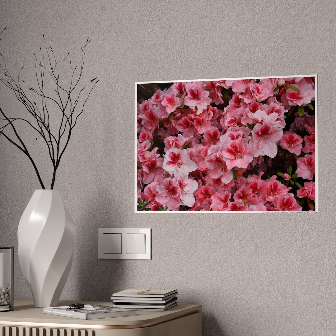 Radiant Azalea Bloom: Vibrant Nature Poster for Flower Enthusiasts - Etsy