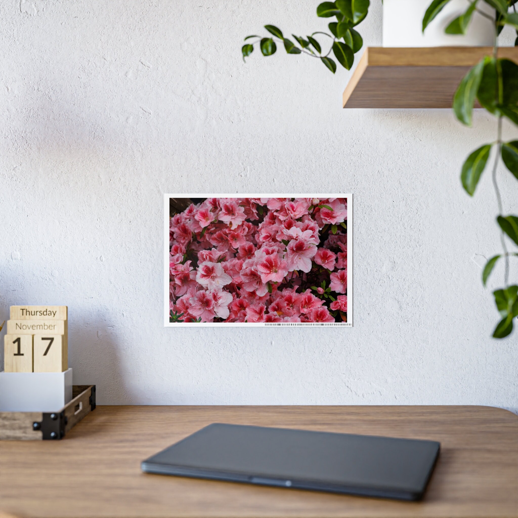 Radiant Azalea Bloom: Vibrant Nature Poster for Flower Enthusiasts - Etsy