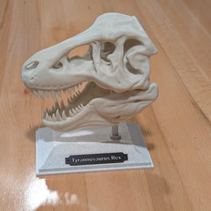 Tyrannosaurus Rex Skull Model – Unique Dinosaur Decor for Home or Office