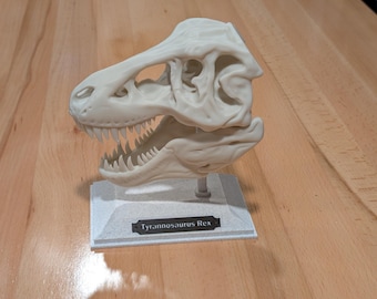 Tyrannosaurus Rex Skull Model – Unique Dinosaur Decor for Home or Office