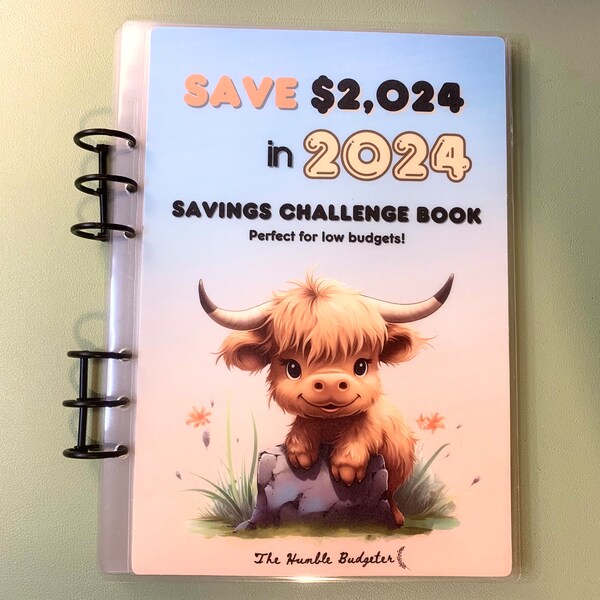 2025 Savings Book Etsy