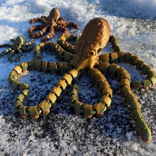 Octopus and Juvenile