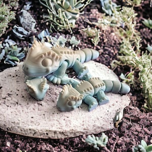 Puede incluir: Tres pequeños juguetes de dinosaurio articulados, segmentados y de color azul claro sobre una roca gris. Los dinosaurios están dispuestos en un agrupamiento lúdico y familiar. El fondo es un lecho de tierra marrón con suculentas verdes.