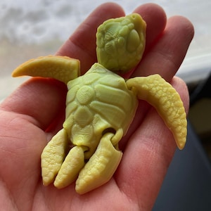 Sea Turtle STL, Flexible, 3D