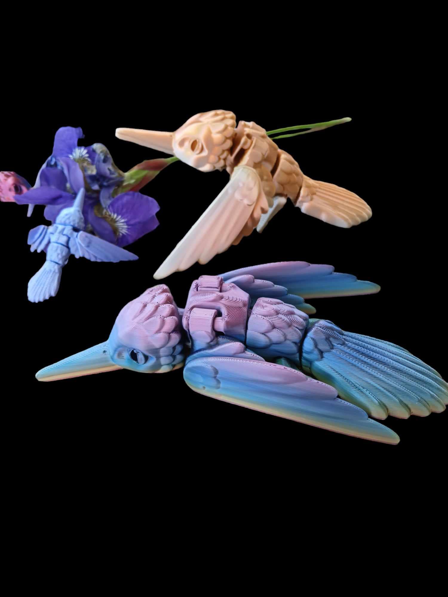 little wing electron HUMMINGBIRD プリアンプ 島村楽器立川店限定 Little Wing Electron【HUMMINGBIRD C212