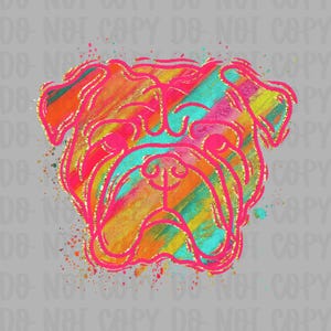 Preppy Bulldog Png, Mascot Digital Design, Team Spirit, Instant Download, Hand drawn Mascots, trendy digital design, Colorful brushstroke