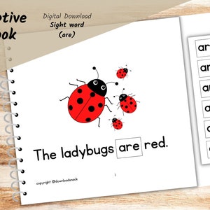 Adapted Books for Speech Therapy, Special Education, Write and Trace, sight words