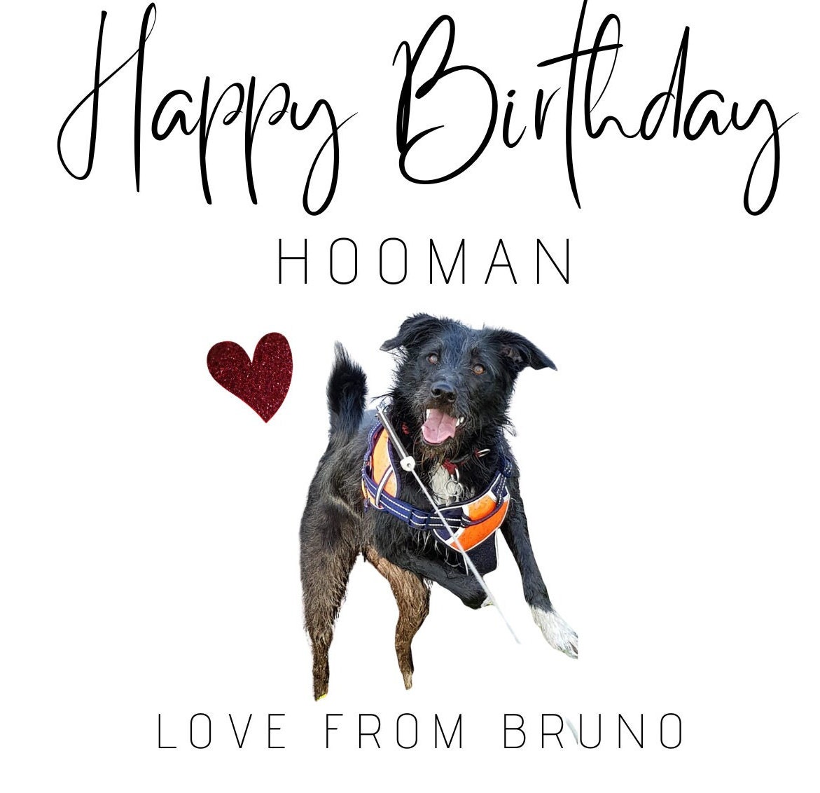 Personalised Birthday Card From the Dog - Etsy