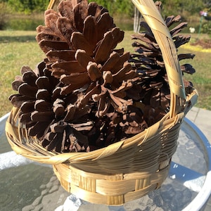 Bleached and Frosted Pinecone Tassels - South House Designs