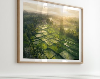Bali Print - Ubud Rice Terraces at Sunrise, Bali, Indonesia - Fine Art Travel Photography, Drone Photography Wall Art, Aesthetic Print