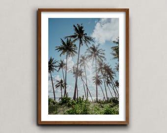Palm Trees at Tuason Point Cloud 9, Siargao Island, Philippines - Fine Art Surf Poster, Ocean Photography Print