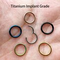 Titanium Hinged Clicker Implant Grade 20G 18G 16G 14G Segment Ring Nose Hoop Daith Earrings Lip ring 5mm 6mm 7mm 8mm 9mm 10mm 11mm 12mm