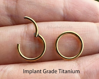 20G 18G 16G 14G Gold color Implant Grade Titanium Hinged Clicker Segment Ring Nose Hoop Daith Earring Cartilage Helix Tragus Piercing