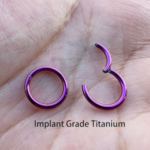 20G 18G 16G 14G Purple color Implant Grade Titanium Hinged Clicker Segment Ring Nose Hoop Daith Earring Cartilage Helix Tragus Piercing