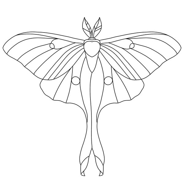 Stained Glass Moth Etsy