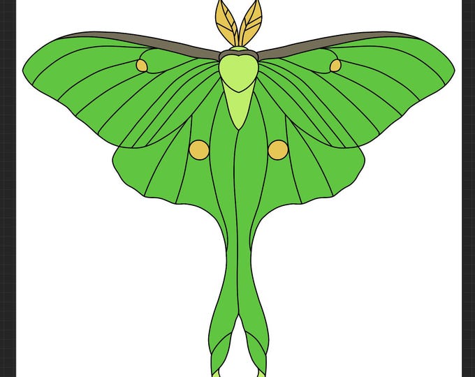 Luna Moth Stained Glass Pattern PDF, PNG Digital File - Etsy Canada