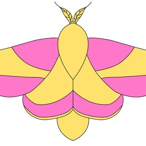 Rosy Maple Moth Stained Glass Pattern - Etsy