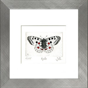 May include: A black and white etching of a butterfly with red spots. The butterfly is labelled "Apollo" and the artist's signature is "Jells." The number "12/125" is also included in the image.