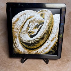 Ball Python 3D Print Art | Textured Reptile Wall Decor | Framed Snake Portrait