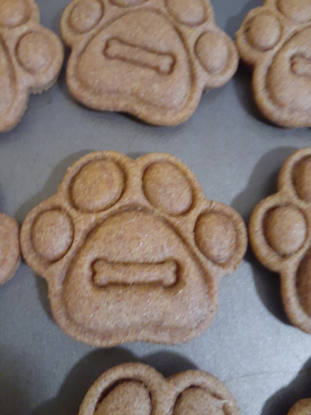 24 Count Dog Treats Dog Paw Cookies Treats for Dogs Dehydrated Etsy