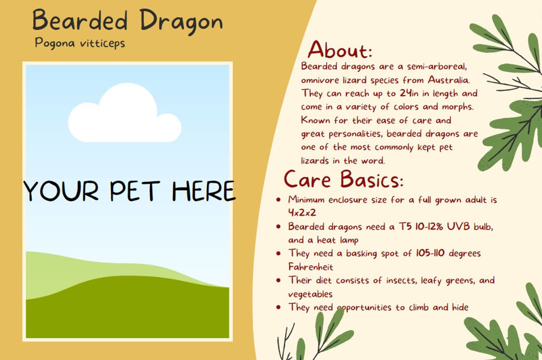 Custom Reptile Care Card/tank Detail - Etsy