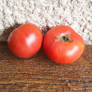 Tomato Rosa de l&#39;Etern 15 seeds