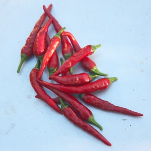 Cayenne Pepper 12 Seeds