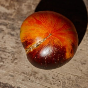 Peut inclure: Gros plan sur une tomate ancienne mûre avec un dégradé rouge foncé et orange. La tomate a une surface craquelée et repose sur une surface en bois vieilli. L'ombre de la tomate est visible.