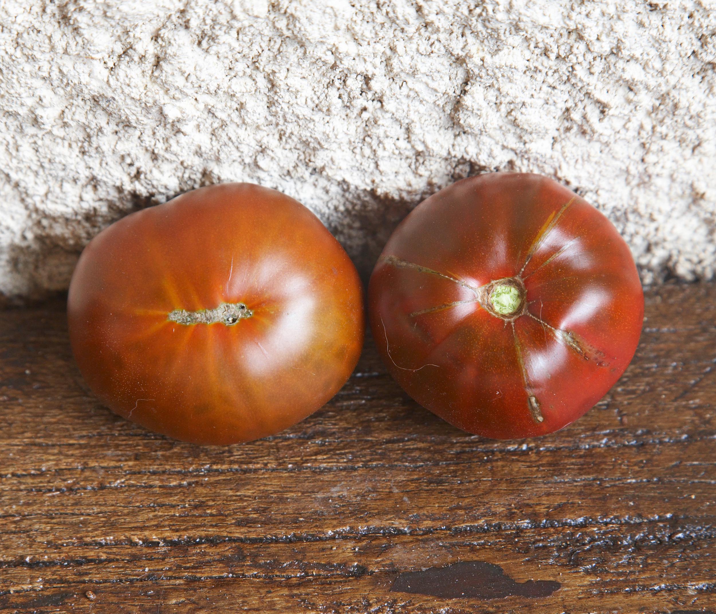 Semi di pomodoro siberiano Aquila Cuore