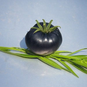 Black Beauty Tomato, 15 seeds