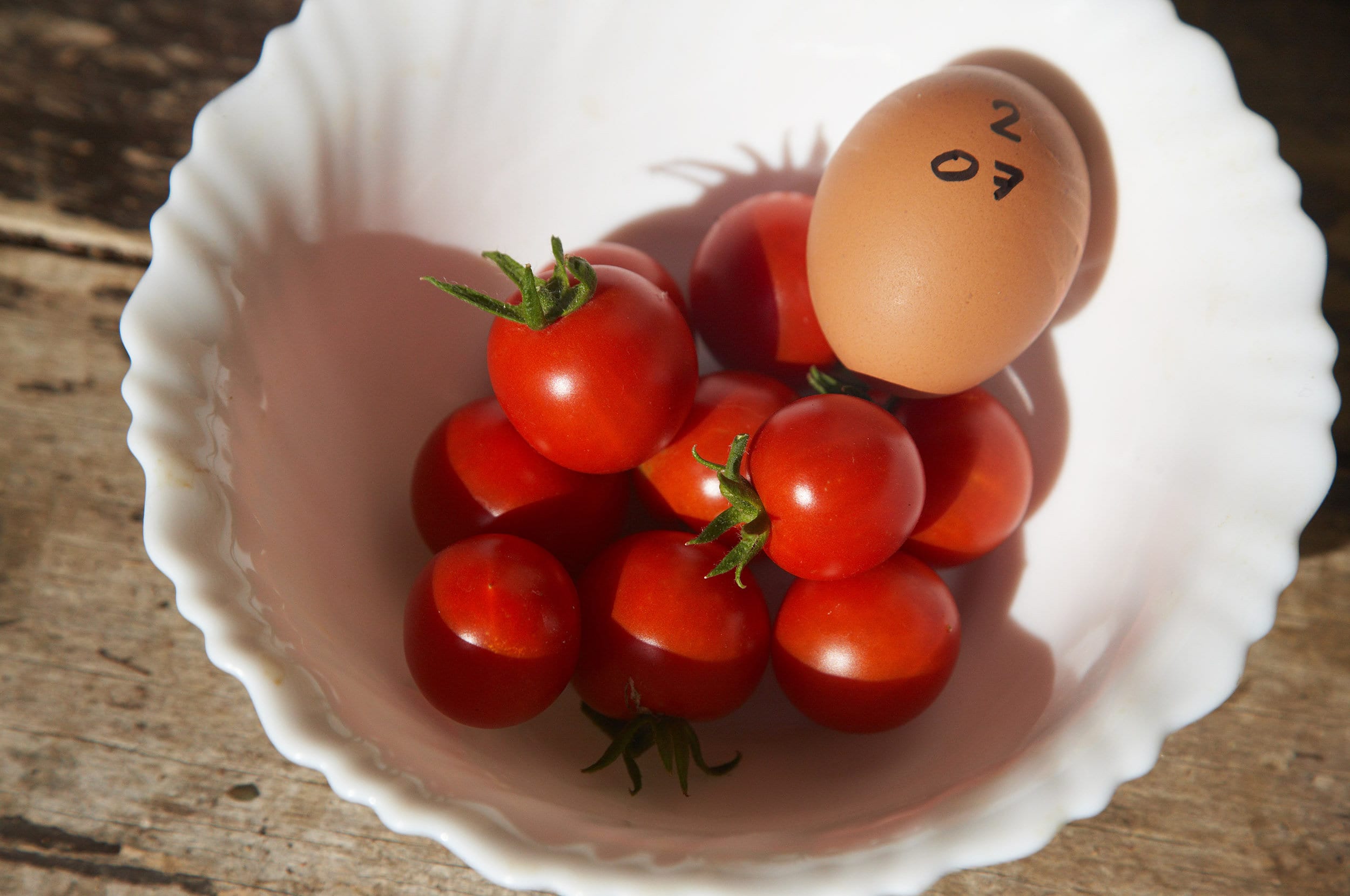 Pomodoro da salsa (nano) rio grande H1281 F1 - 6 piante - Orto Mio