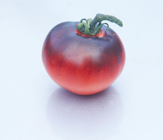 Tomato Sofia's Purple Apple - Sofia's Purple Apple - Purpurnoe
