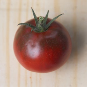 Black Russian Beefsteak Tomato, 15 seeds, grown in France