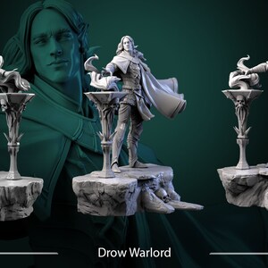 Drow / Elf Warlord
