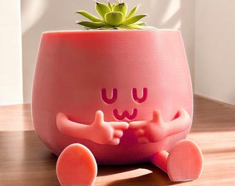 May include: Pink ceramic planter shaped like a cartoon character with arms and legs. The planter has a cute face with the text "uwu" on it. A small green succulent plant is growing in the planter.