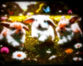 Caja de luz litofanía impresa en 3D con diseño de conejito en un campo / Escena de pradera primaveral, luz nocturna para habitación infantil.