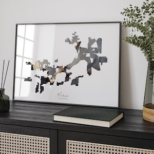 Puede incluir: Una impresión enmarcada de un mapa abstracto de Madison, Wisconsin en blanco y negro con detalles dorados. El texto "Madison, Wisconsin" está impreso debajo del mapa.