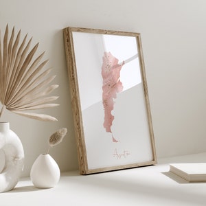 Argentina Map Pink and Gold Wall Art Print