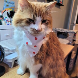 Nothing says love like hearts- Bandana for cats & Small Dogs #cats #dogs #petclothing