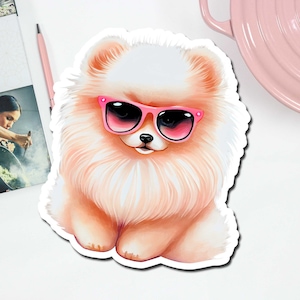 May include: A fluffy white and orange Pomeranian dog wearing pink sunglasses. The dog is sitting with its paws crossed and looking directly at the camera.