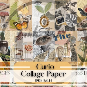 Curio | Junk Journal Ephemera | Collage Paper | Printable