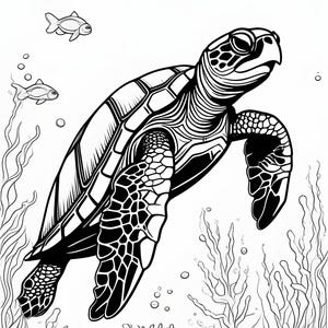 48 Marine Animals Coloring Pages, Sea Animals, Coloring Book, Adult Color, Kids Coloring Book, Kid Coloring Pages, Stress Relief