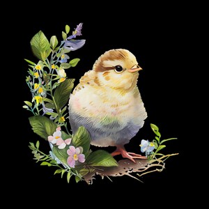 8 4 X 6 Printable (in Canva and PDF) Blank Greeting Cards - Chicks With ...