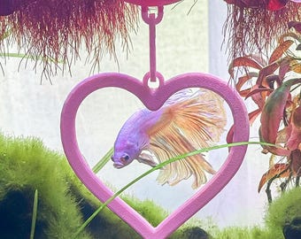 Floating Heart Betta Swim Ring | Betta Decor & Enrichment Hoop | ALGAE-RESISTANT Entertainment for Fish Aquariums