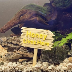 Letrero de bosque de madera personalizado para peceras, acuarios, reptiles, invertebrados y anfibios