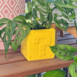 May include: A bright yellow planter shaped like a question mark block from the Super Mario Bros. video game. The square planter holds a green plant with large, hole-filled leaves. The planter sits on a wooden shelf.