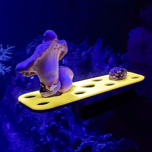 GlowRack - Magnetic UV Frag Rack | Coral Propagation Station | fits 1/2&quot; Frag Plugs | Reef Tank Aquarium Nano Reef Accessories Decor