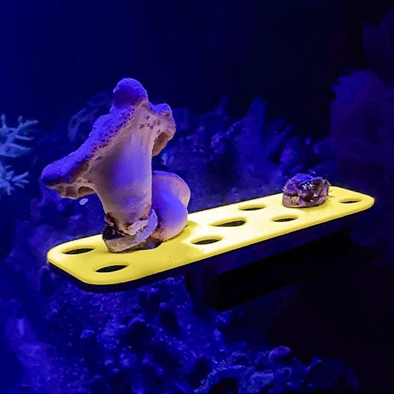 マグネット式UVフラグラック | サンゴ増殖ステーション | 1/2インチ