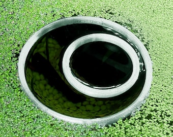 Fish Feeding Portal (Circle) | No Sink Guarantee | Beta Training, Food Corral, Exclusion Zone