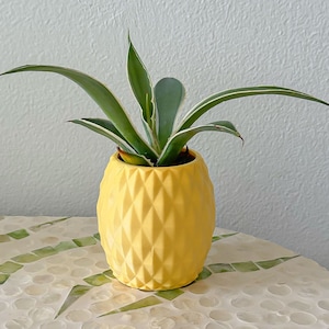 May include: A green and white succulent plant in a yellow pineapple-shaped ceramic pot. The pot has a diamond pattern.